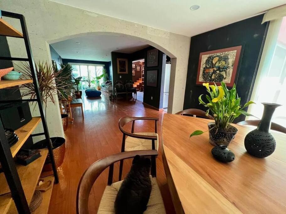 Luxurious Mid Century Modern Folk Art Home Meksika Dış mekan fotoğraf