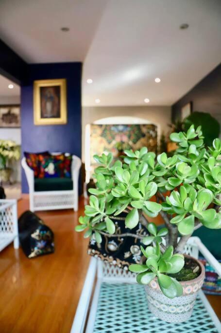 Luxurious Mid Century Modern Folk Art Home Meksika Dış mekan fotoğraf
